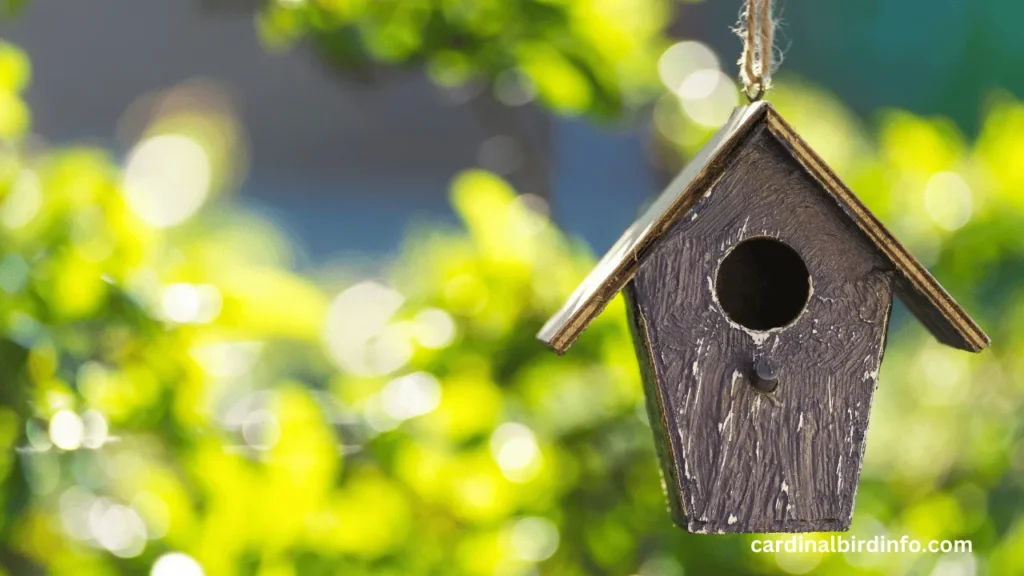 Do Cardinals Like Bird Houses