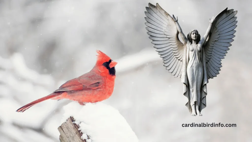 are cardinals angels