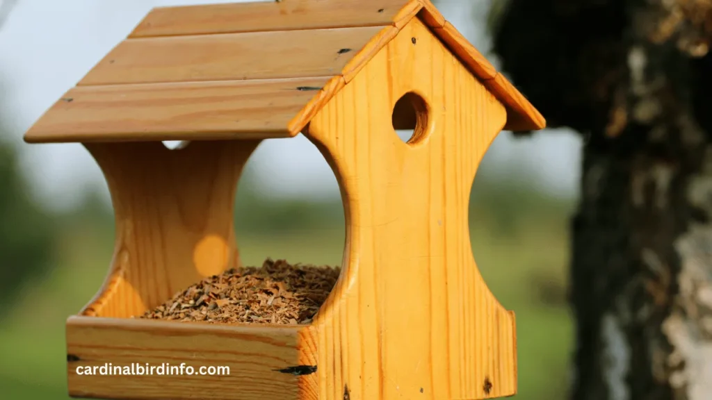 are cardinals ground feeders