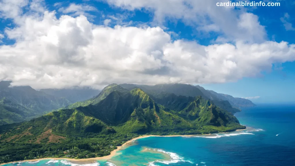 are there cardinals in hawaii