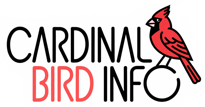 Cardinal Bird Info