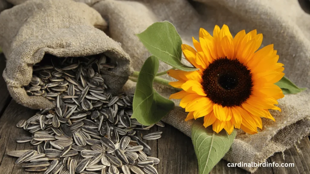 do cardinals like sunflower seeds