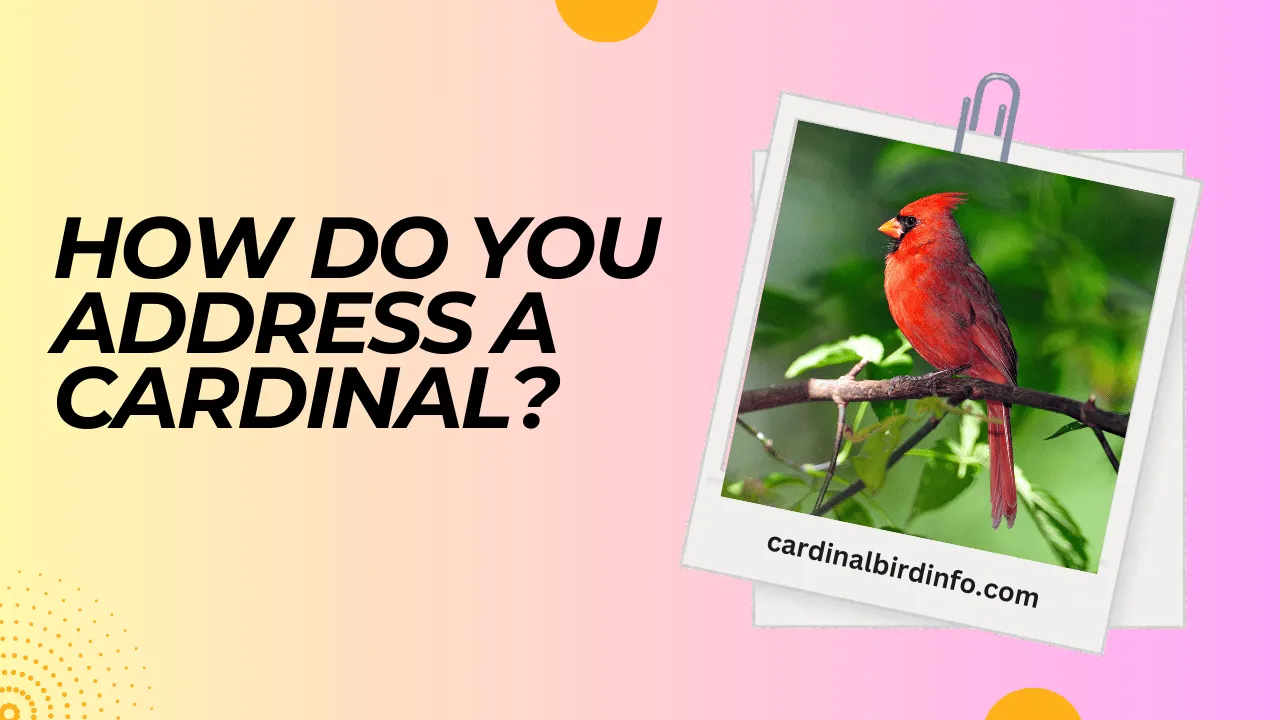 how do you address a cardinal