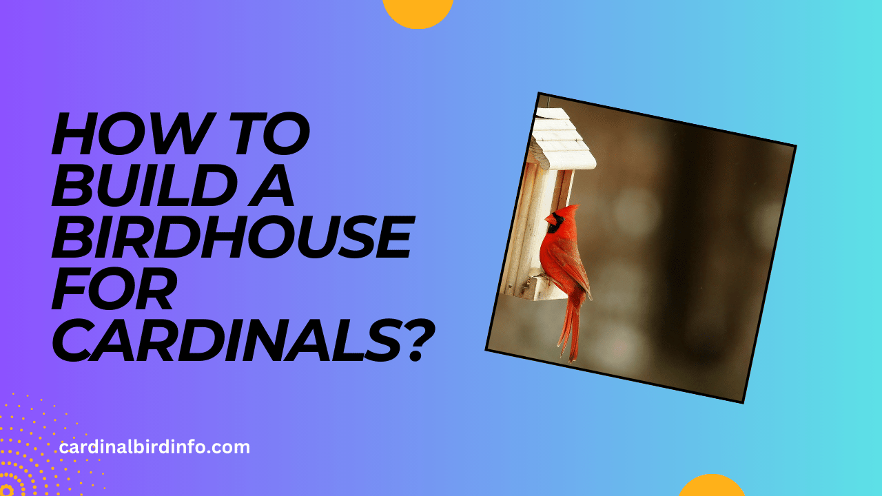 how to build a birdhouse for cardinals