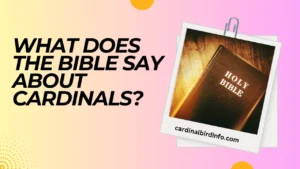 what does the bible say about cardinals