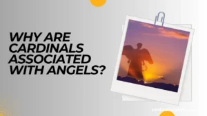 why are cardinals associated with angels